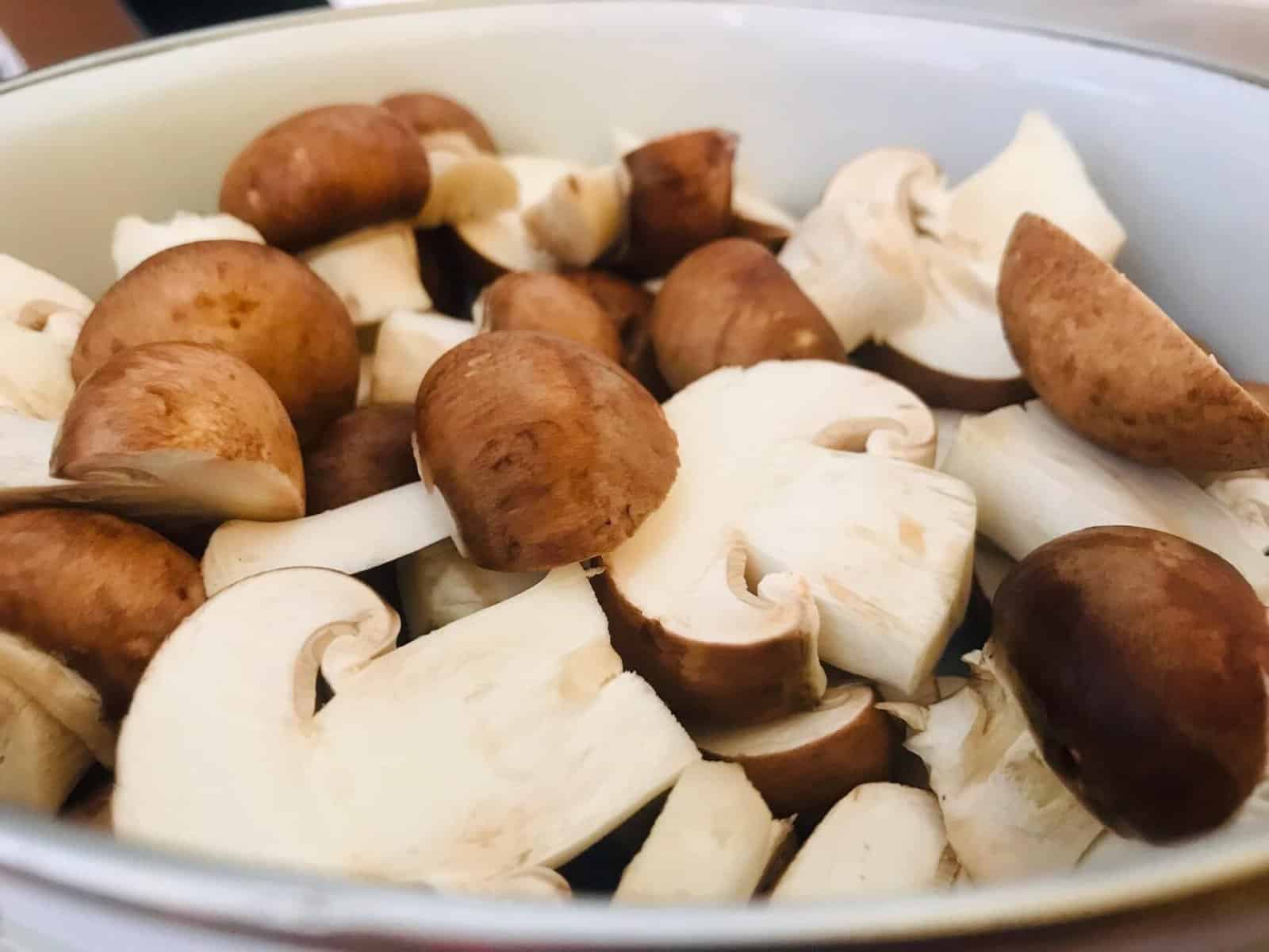 Ciuperci