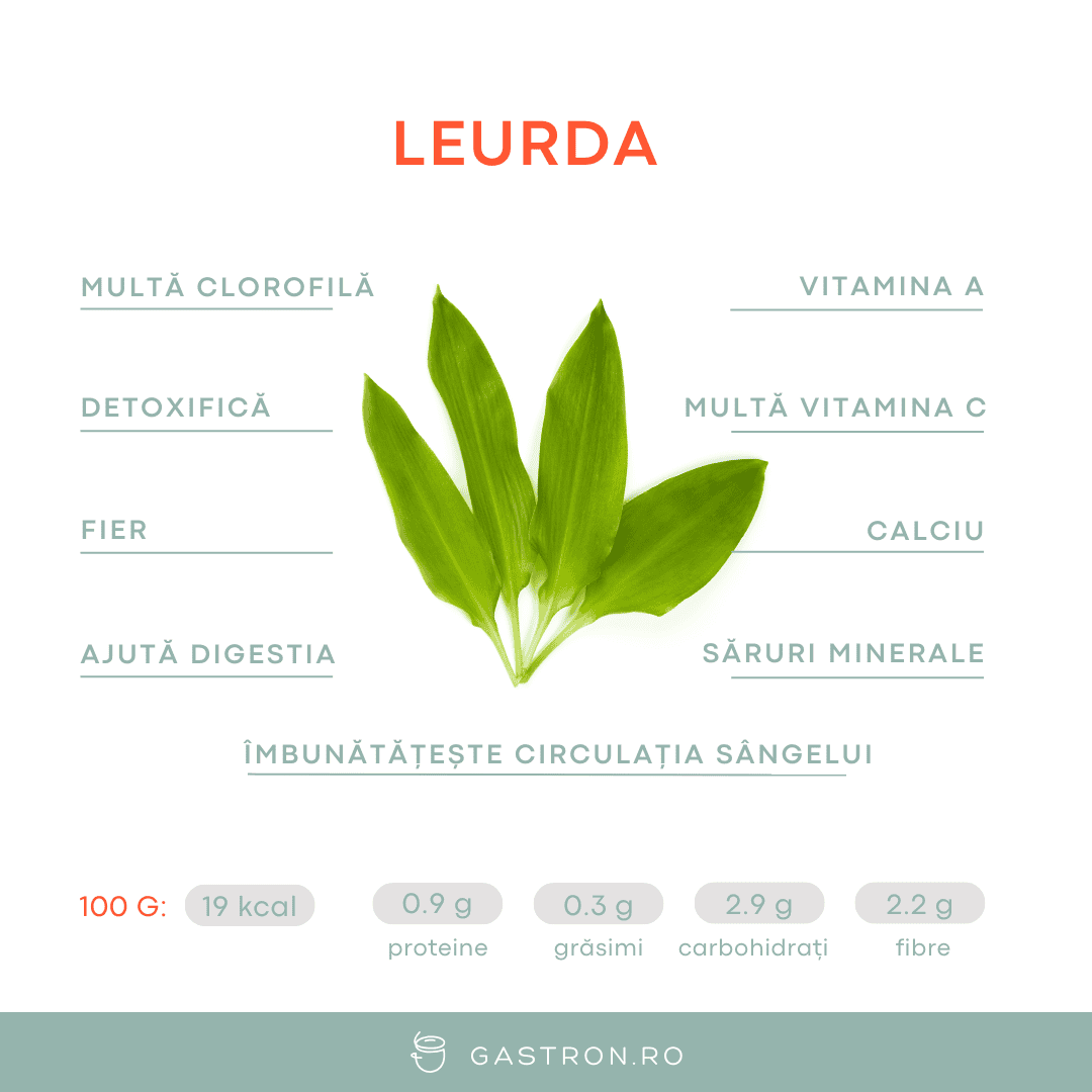 grafic nutriție leurdă